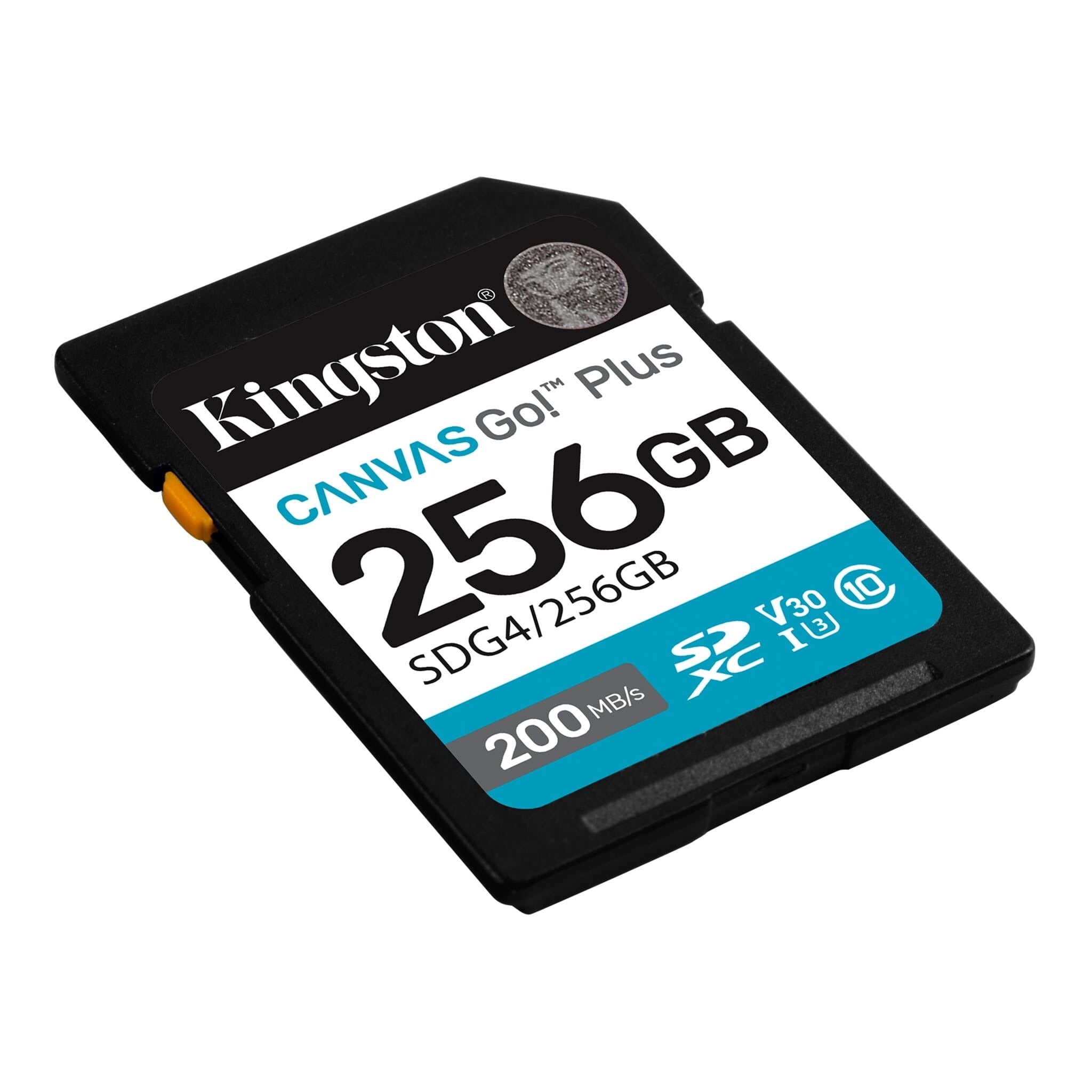 Kingston 256GB 200MB/S CANVAS GO PLUS