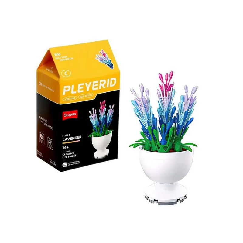 Sluban - PLEYERID-Potted Plants Daisy Sluban - PLEYERID-Potted Plants Daisy