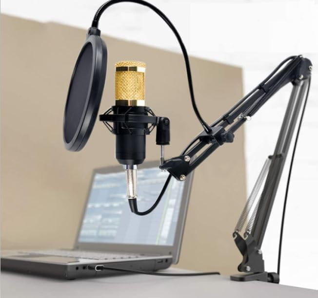 Legendary Vocal Professional Condenser Microphone Kit w/Adjustable Mic Suspension Scissor Arm Metal Shock Mount