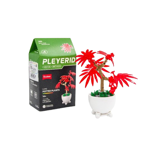 Sluban - PLEYERID-Potted Plants (GR-A) Sluban - PLEYERID-Potted Plants (GR-A)