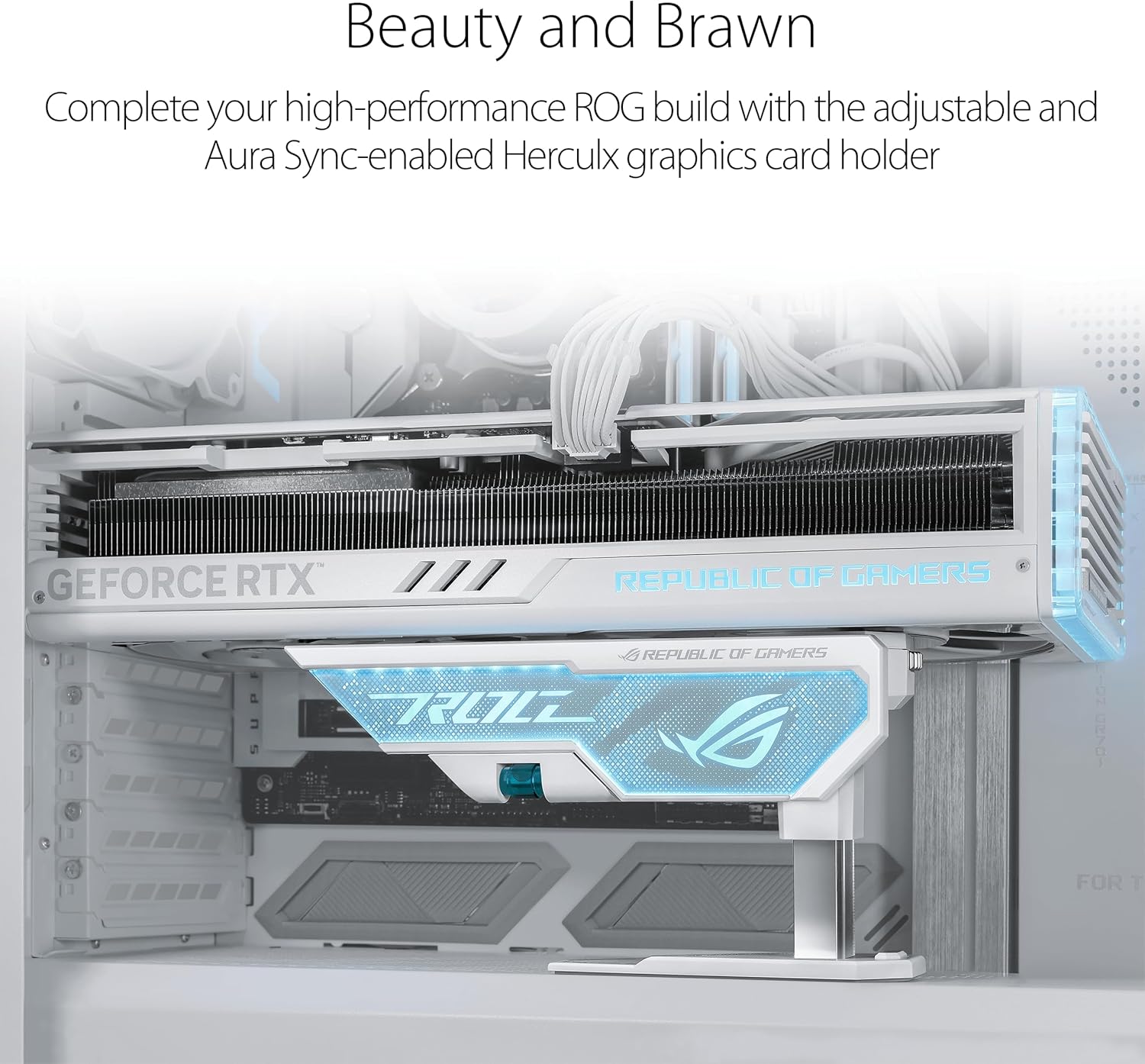 ASUS XH01 ROG Herculx Graphics Card Holder Toolless Mount - White