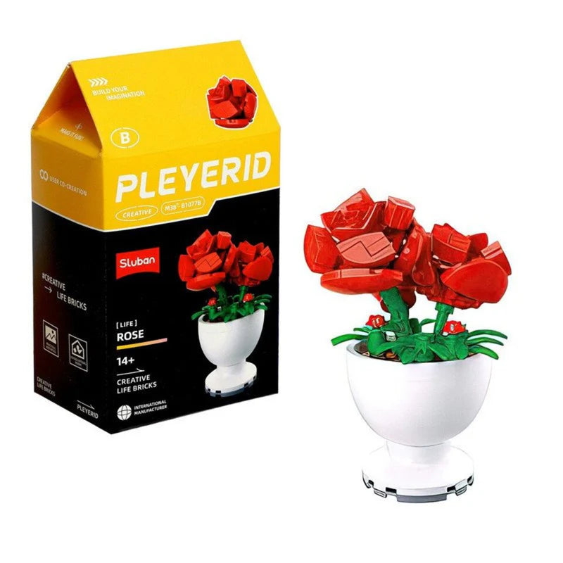 Sluban - PLEYERID-Potted Plants Rose Sluban - PLEYERID-Potted Plants Rose
