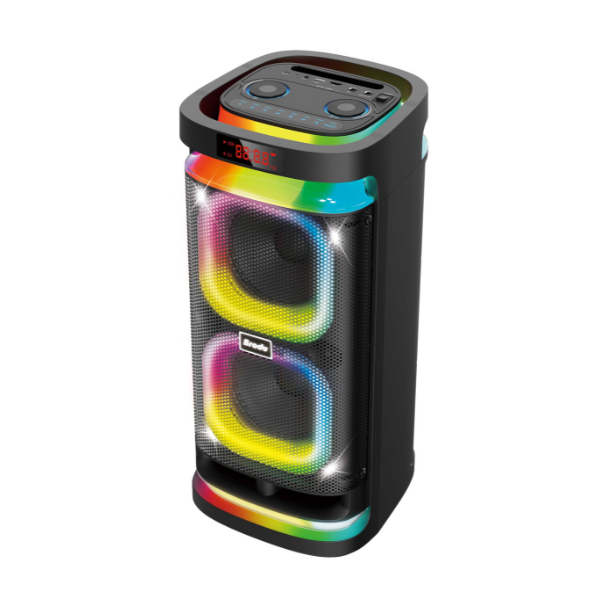 Brodu BTS-1989 6.5″inch Wireless speaker  2xWL MIC 6.5