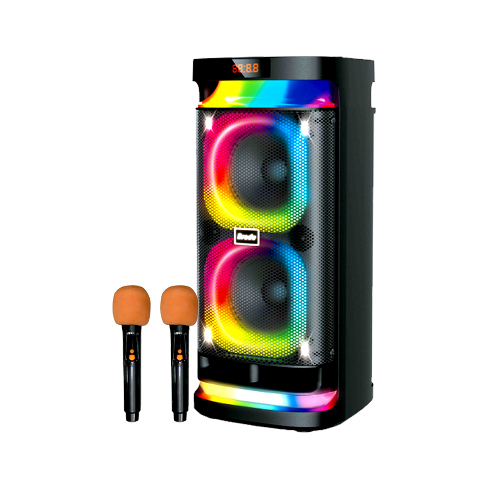 Brodu BTS-1989 6.5″inch Wireless speaker  2xWL MIC 6.5