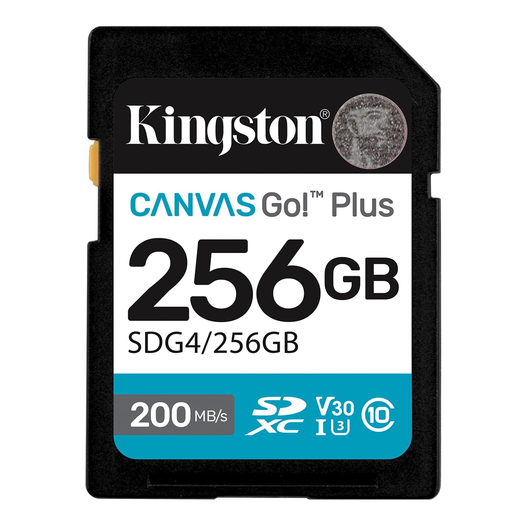 Kingston 256GB 200MB/S CANVAS GO PLUS