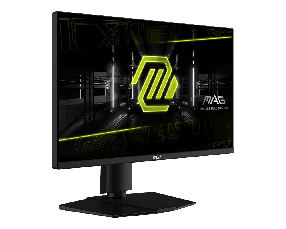 MSI MAG 255PXF 25