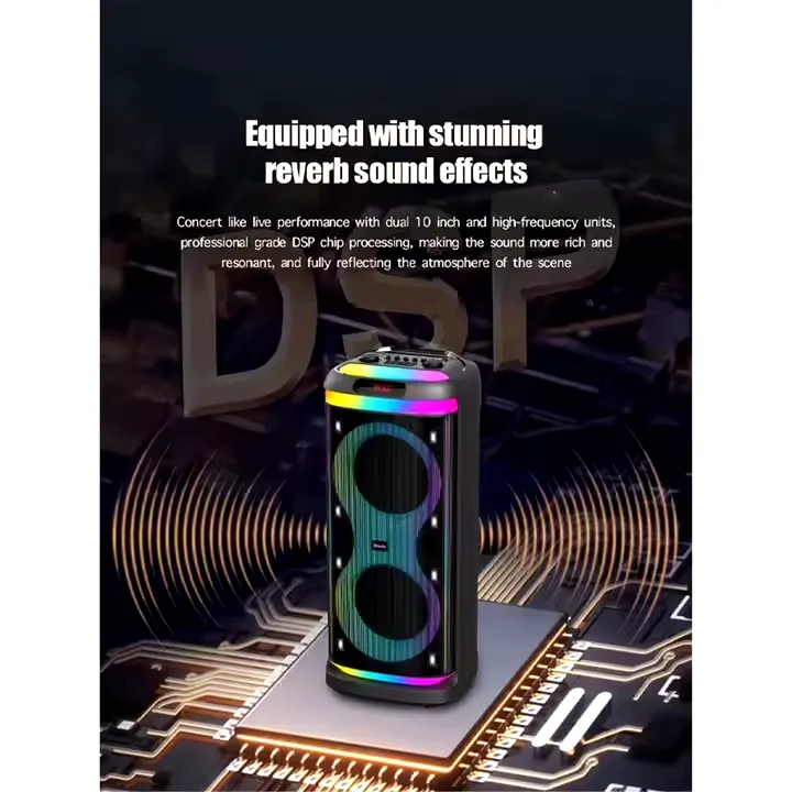 Brodu BTS-2100 100WX2 stereo system sound Dual 10 inch Woofer Outdoor DJ Party Speaker 2xWL Full