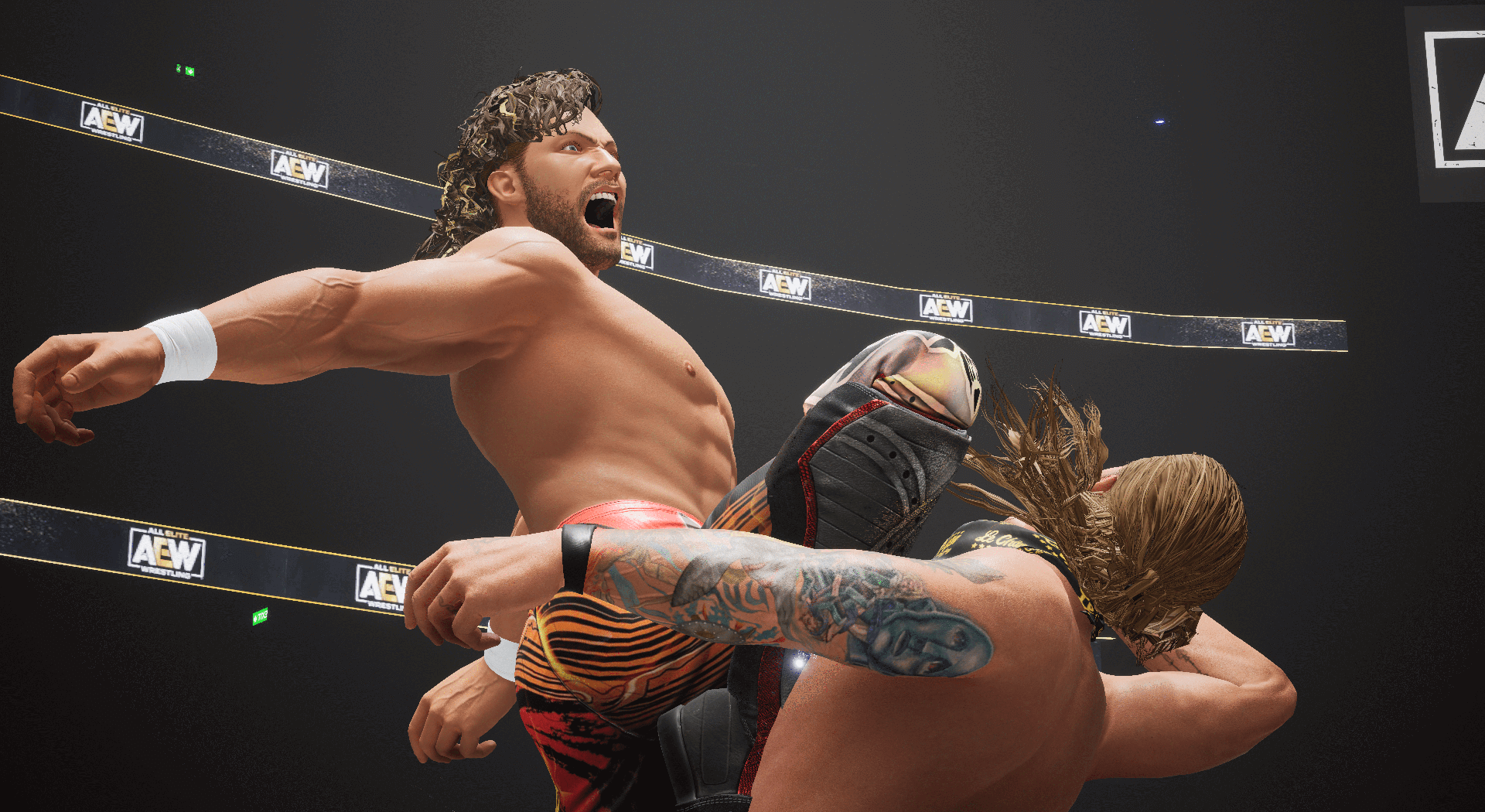 AEW Fight Forever - PlayStation 5