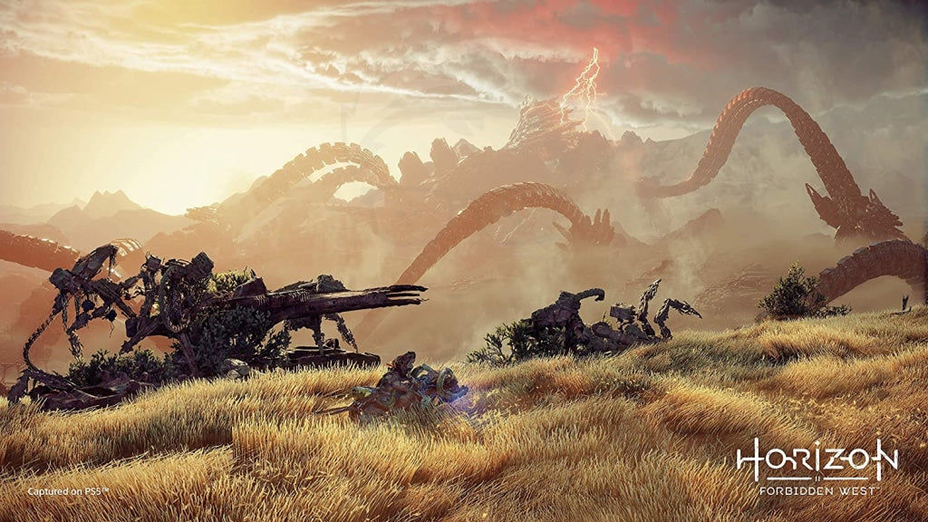 Horizon Forbidden West PS5 Version PlayStation 4 ( PS4 )